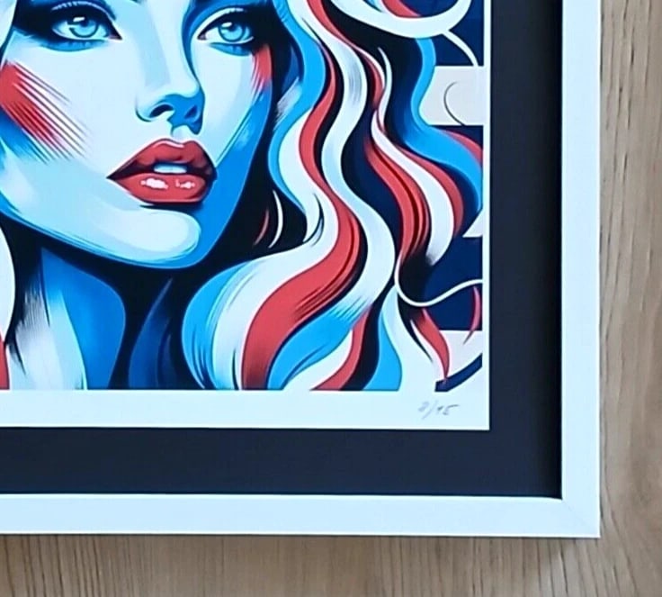 AIDAN FLUX | Hand Signed Authentic Print Framed | LARGE | COA | American Woman - 4