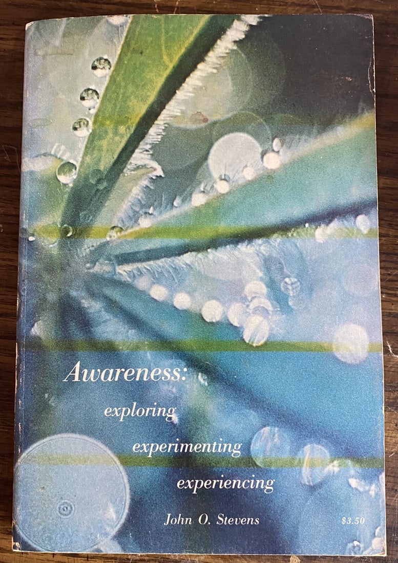 Awareness: Exploring, Experimenting, Experiencing Stevens, John O.1971 1st/1st (1 of 5)