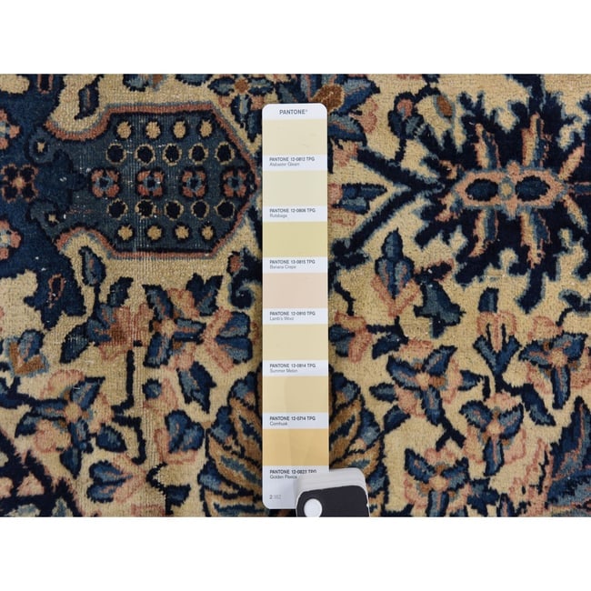 Ivory with Blue Antique Persian Kerman Soft Wool Hand Knotted Rug - 8