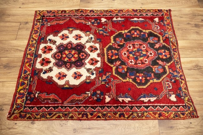 Vintage Floral Rusty Red 9X12 Bakhtiari Persian Round Rug - 5