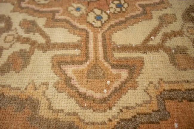 Antique Rust & Brown Floral 6X10 Lilian Persian Rug - 8