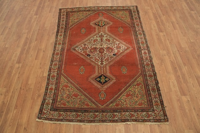 Antique Tribal Malayer Persian Wool Rug 4x6 - 4