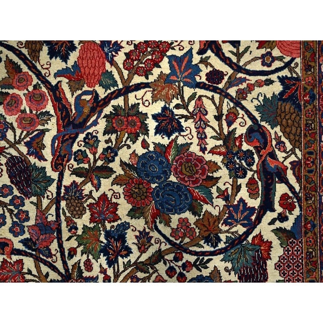 Lemon Icing White Antique Persian Kashan Kork Wool Pile Oriental Rug - 9