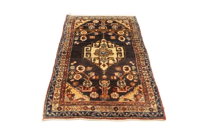 Vintage Floral Tribal 3X6 Hamedan Persian Rug - 3