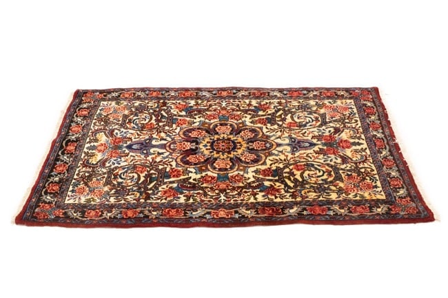Vintage Cream Floral 3X5 Bidjar Halvaei Persian Rug - 5