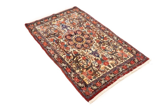 Vintage Cream Floral 3X5 Bidjar Halvaei Persian Rug - 6