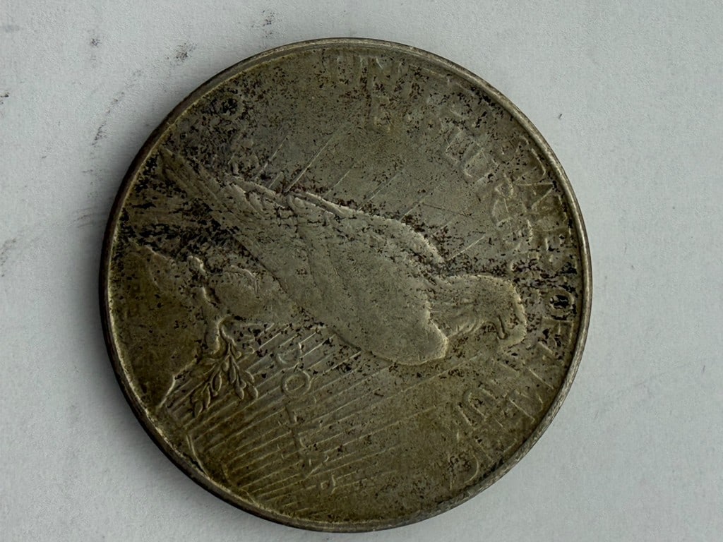 1923 Peace Silver Dollar Coin - 2