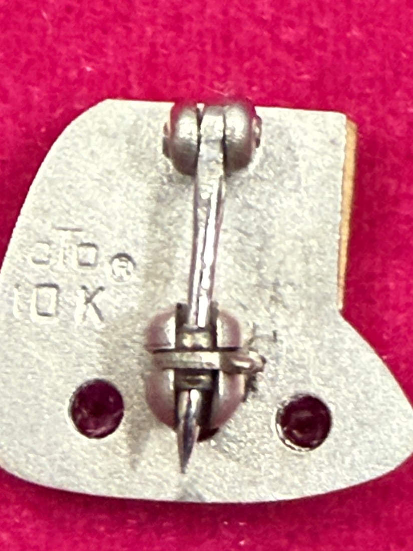 Vintage 10K Gold CW Enamel and Ruby Pin - 2