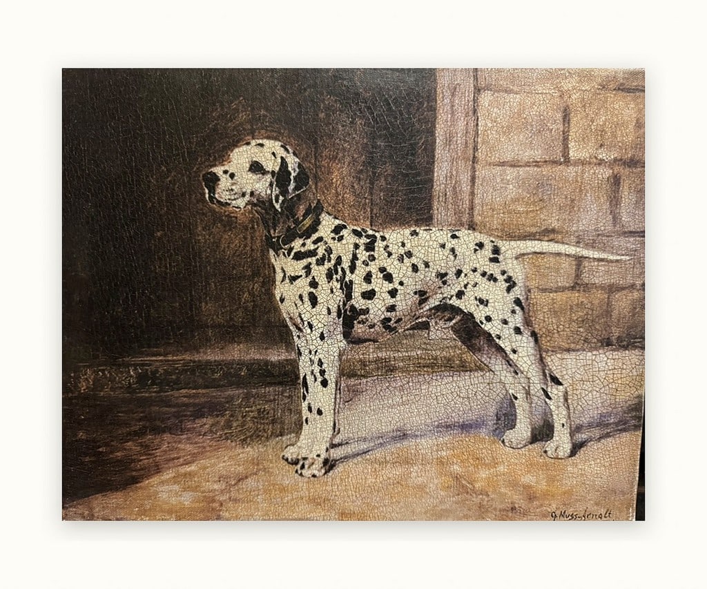 Gustave Muss-Arnolt (American, 1858 - 1927) Dalmatian in Profile Oil on canvas, signed lower righ...: An original work by the celebrated animal painter Gustave Muss-Arnolt, renowned for his finely observed portraits of sporting dogs and equestrian subjects. Born in Germany and active in the United