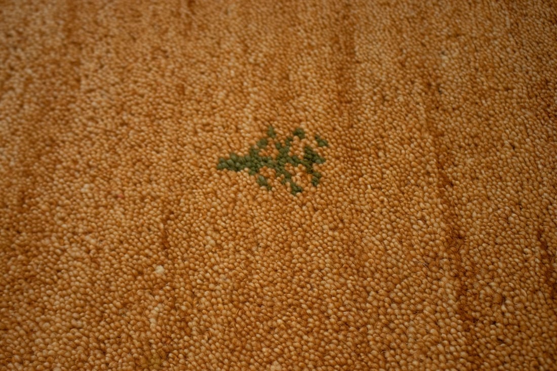 Rusty Peach Bordered Tribal 2'9X6'4 Indo-Gabbeh Oriental Rug - 8