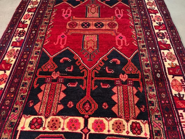 Stunning Persian Hamedan Rug 5x9.7 - 3