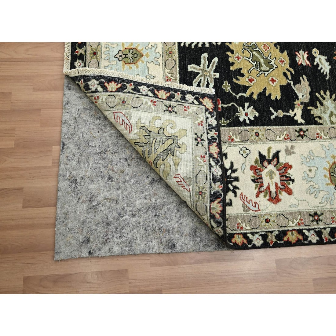 Raven Black, Agra with Ziegler Design, Hand Knotted, Pure Wool Rug - 4