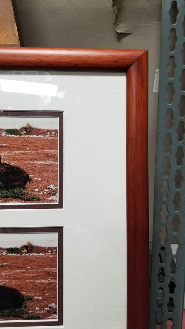 Framed Hawaiian Nature Photography Print Meaai by Photographer Michael Lemes - 8