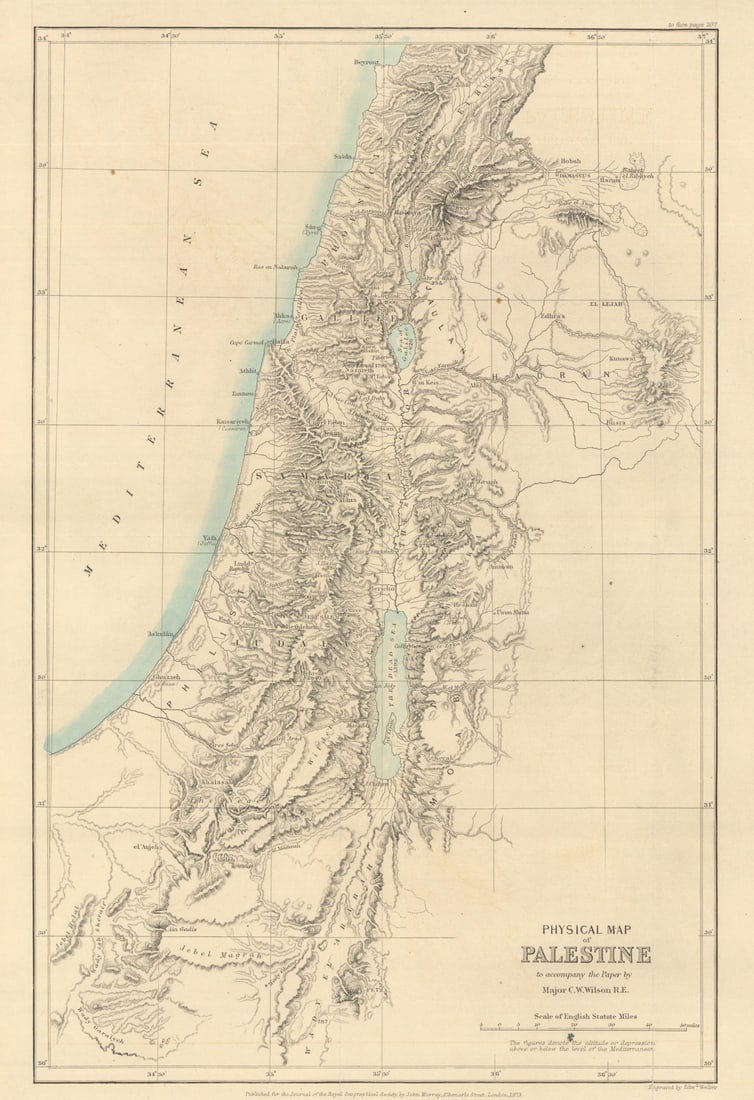 Physical Map of Palestine by Major Charles William Wilson. Israel. RGS 1873 (1 of 1)
