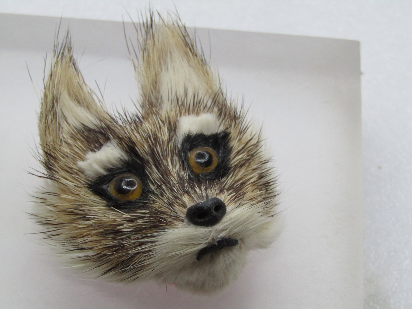 Vintage Fox Face Fur Brooch, 1950's-1960's. Handmade. Helsinki (1 of 5)