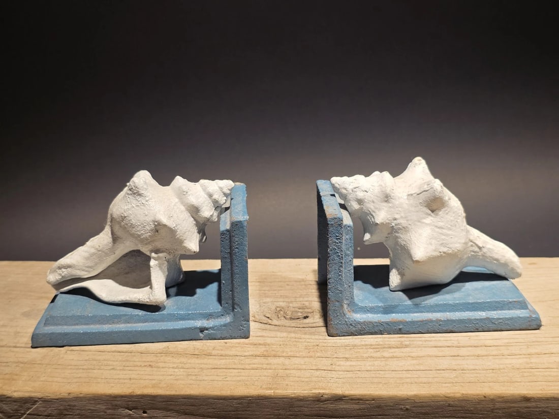 Pair of Cast Iron Conch Shell Bookends Old Paint: 5 L x 3 W x 3.5 H Great reproduction pair of cast iron bookends featuring shells. Wonderful slightly aged pain giving it that beachy worn look. Nice heavy solid pair! 100% Customer Satisfaction