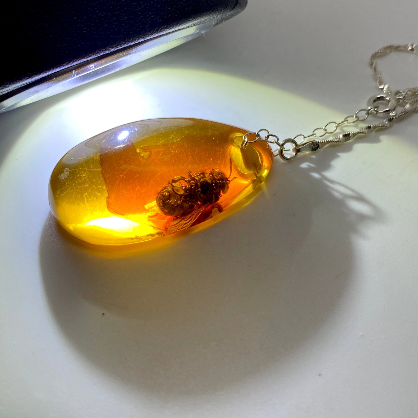 Splendid Amber Pendant with chain, shaped like a Drop with a Bee - 6