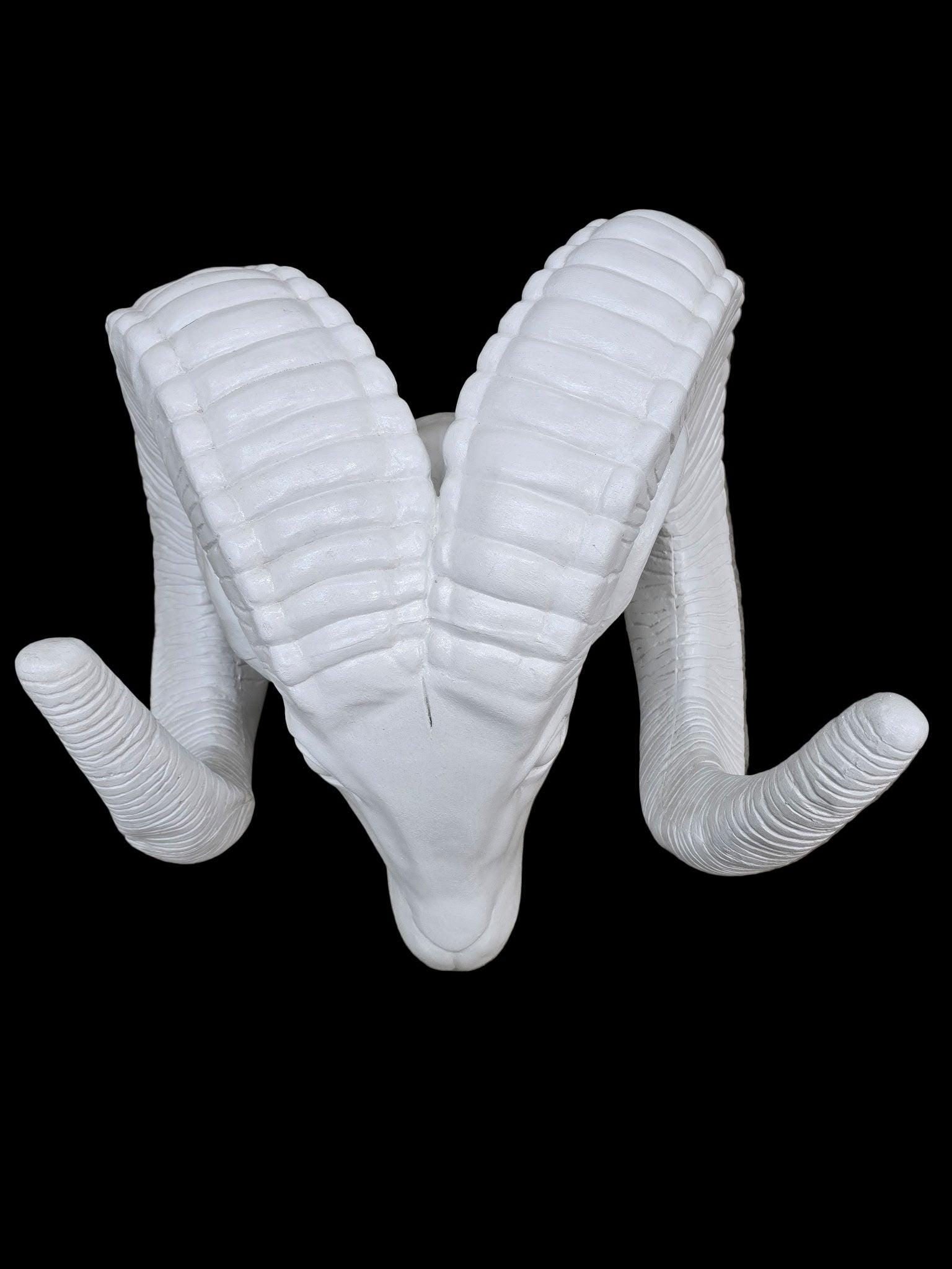 Vintage White Rams Head Statue - 5