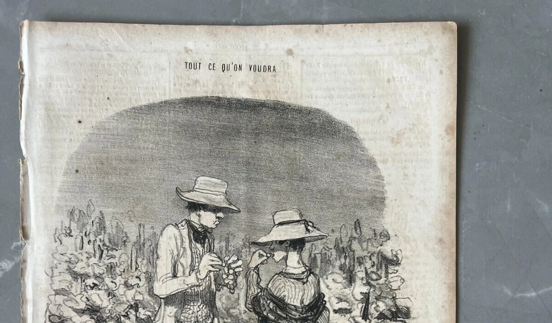 Daumier - Tout ce qu'on voudra, Moi aussi - Antique Print 19th century - 3