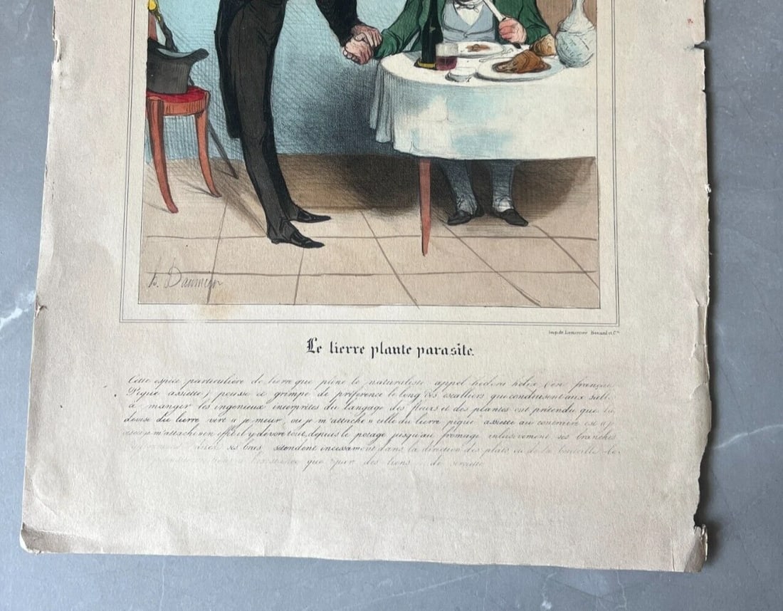 Daumier, Le Lierre Plante Parasite - Caricature Antique Print 19th century - 4