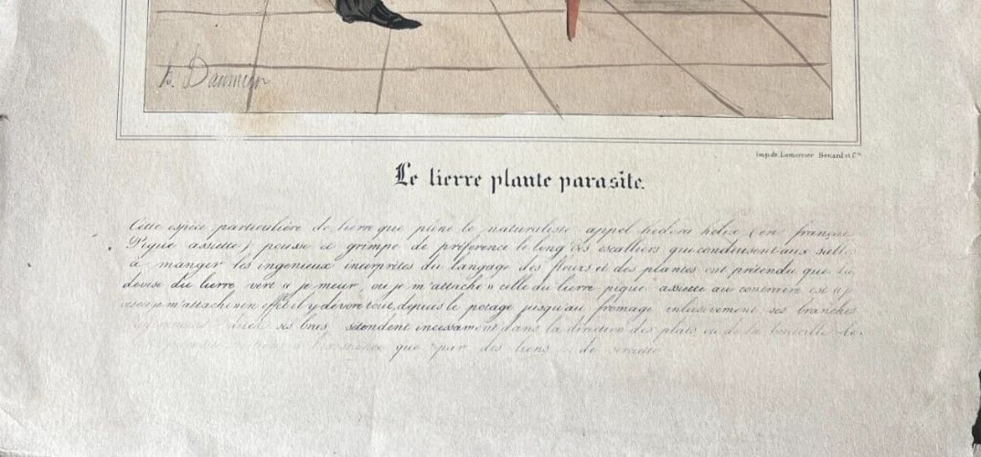Daumier, Le Lierre Plante Parasite - Caricature Antique Print 19th century - 7