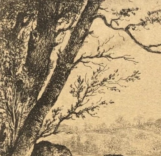 19th century Landscape, Mountain, Trees, Rocks Antique Etching Original - 3