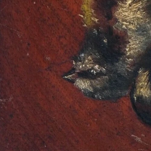 19th century Birds Still Life - Painting Antique Original - 3