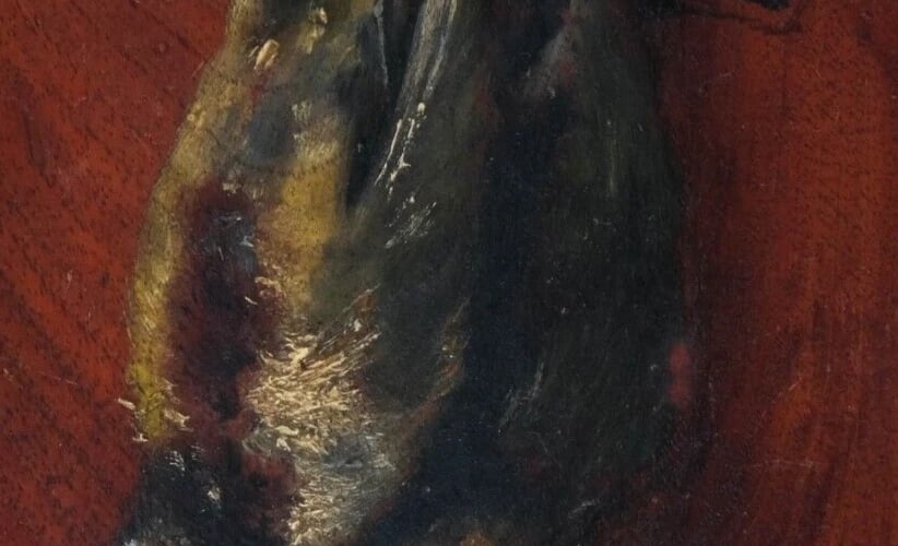19th century Birds Still Life - Painting Antique Original - 4