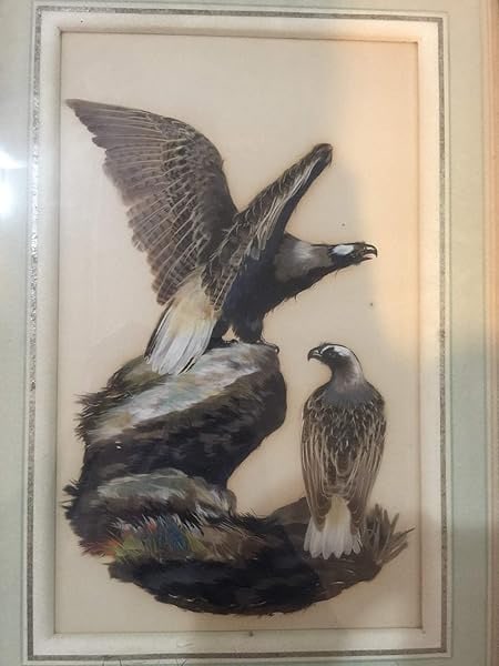 Eagles - Feathers Art - Framed: Eagles - Feathers Art - Framed Reserve: $387 Shipping: Domestic: Flat-rate of $98 to anywhere within the contiguous U.S. International: Foreign shipping rates are determined by destination.