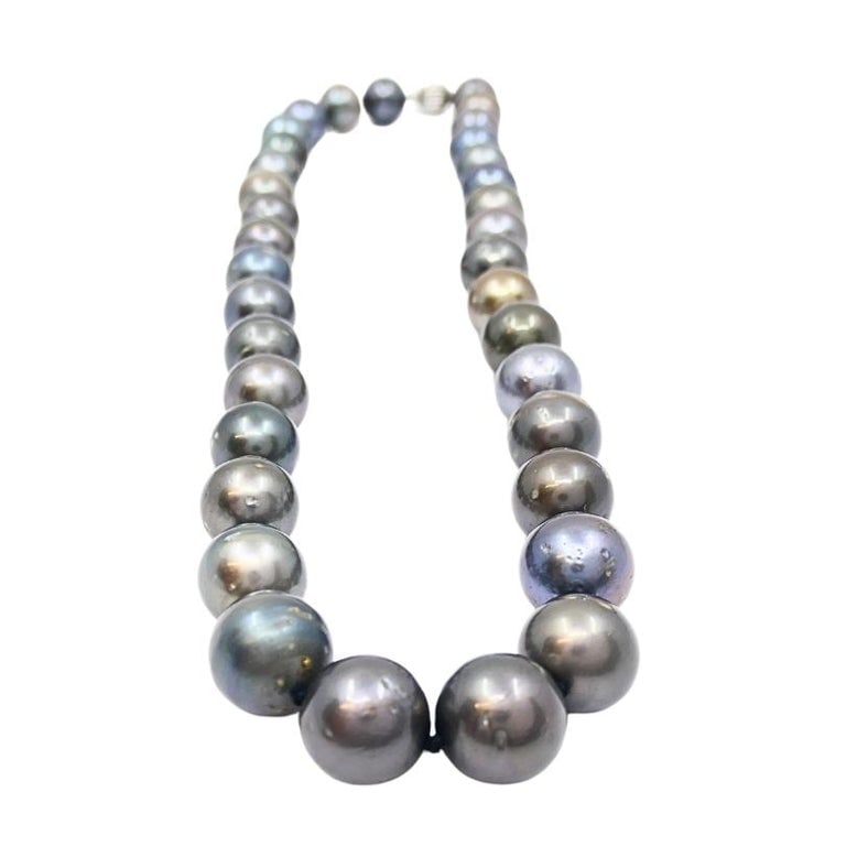 Tahitian Pearl Necklace 14k Gold Clasp - 6