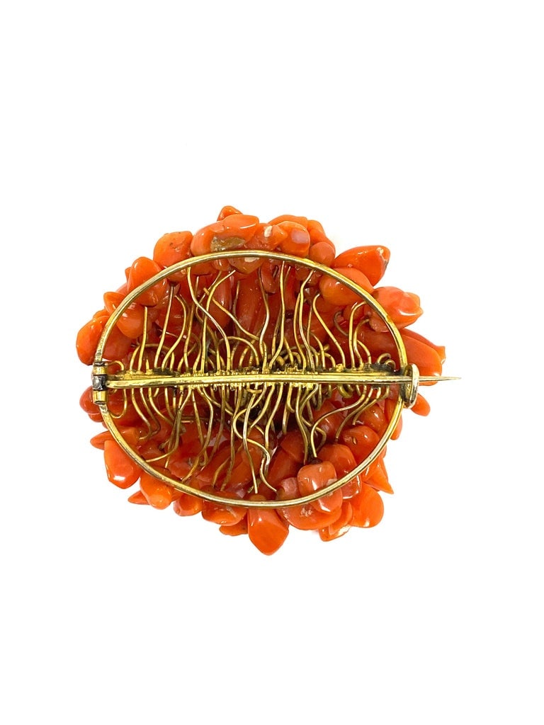 Victorian Yellow Gold and Mediterian Coral Brooch - 4