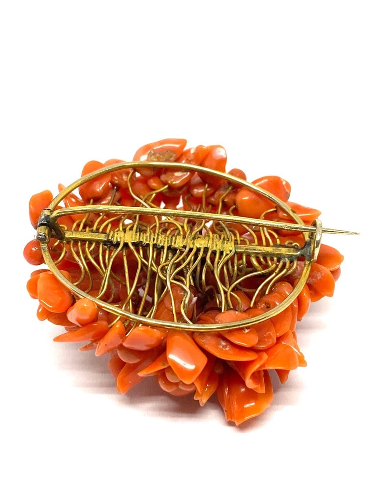 Victorian Yellow Gold and Mediterian Coral Brooch - 6