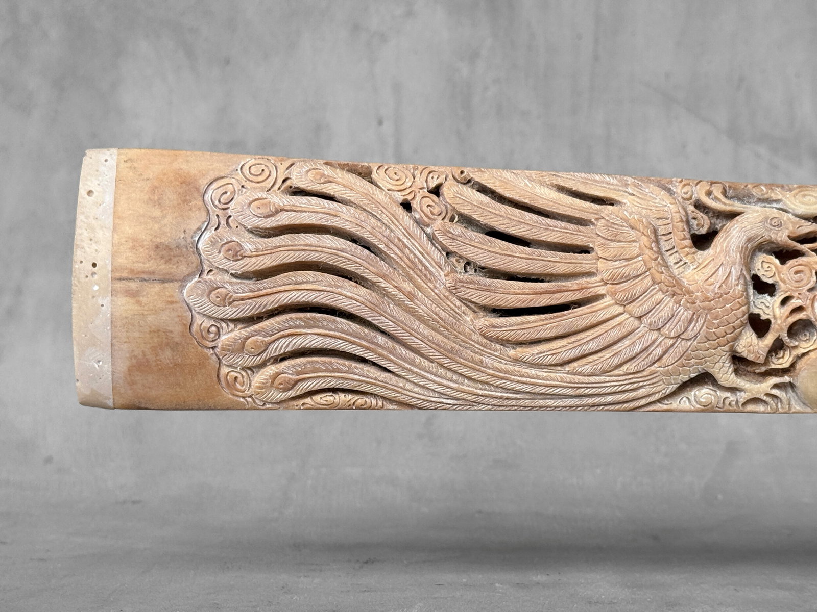 Impressive engraved swordfish rostrum - Dragon Phoenix motif - 6