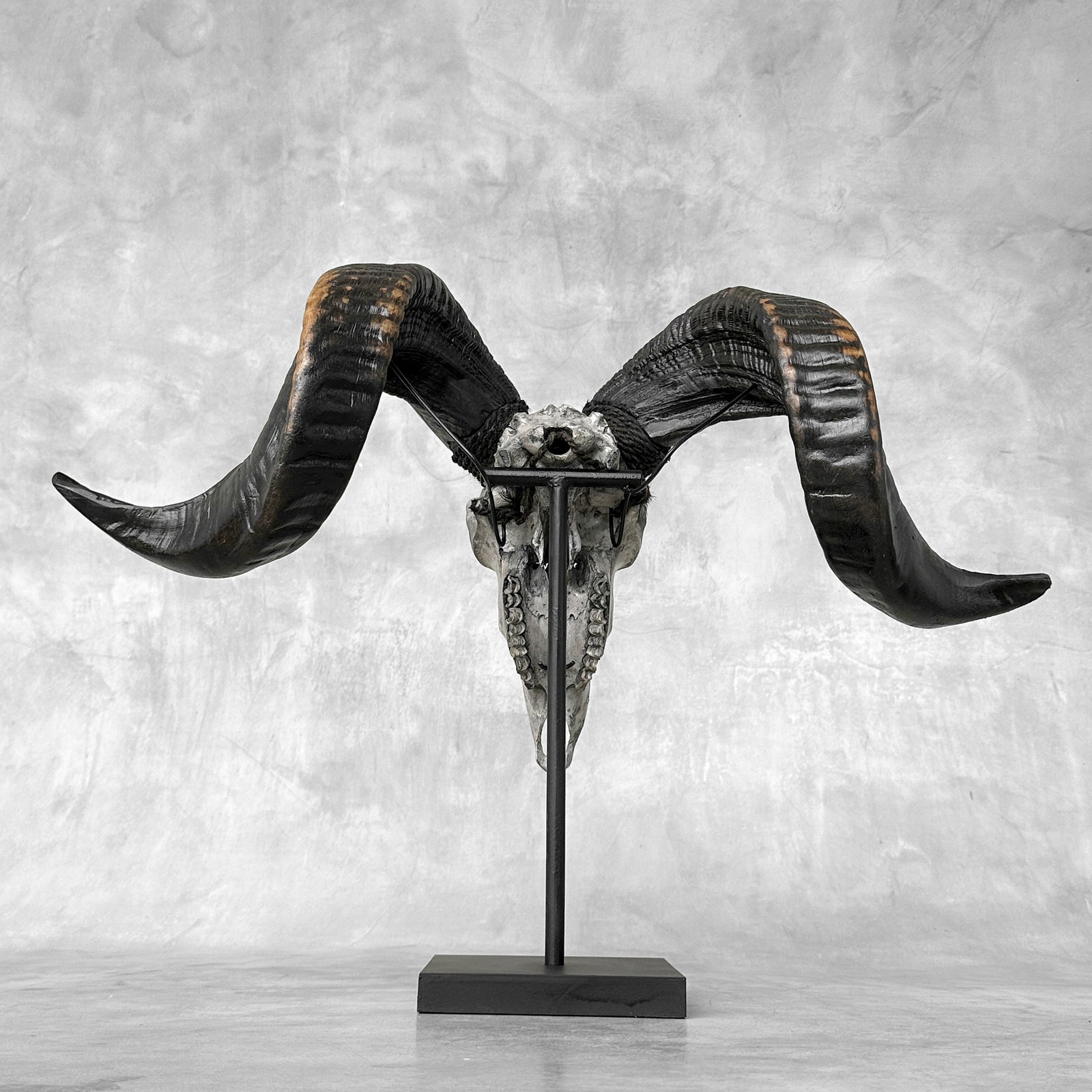 Carved grey ram skull - Traditional Balinese motif - 7