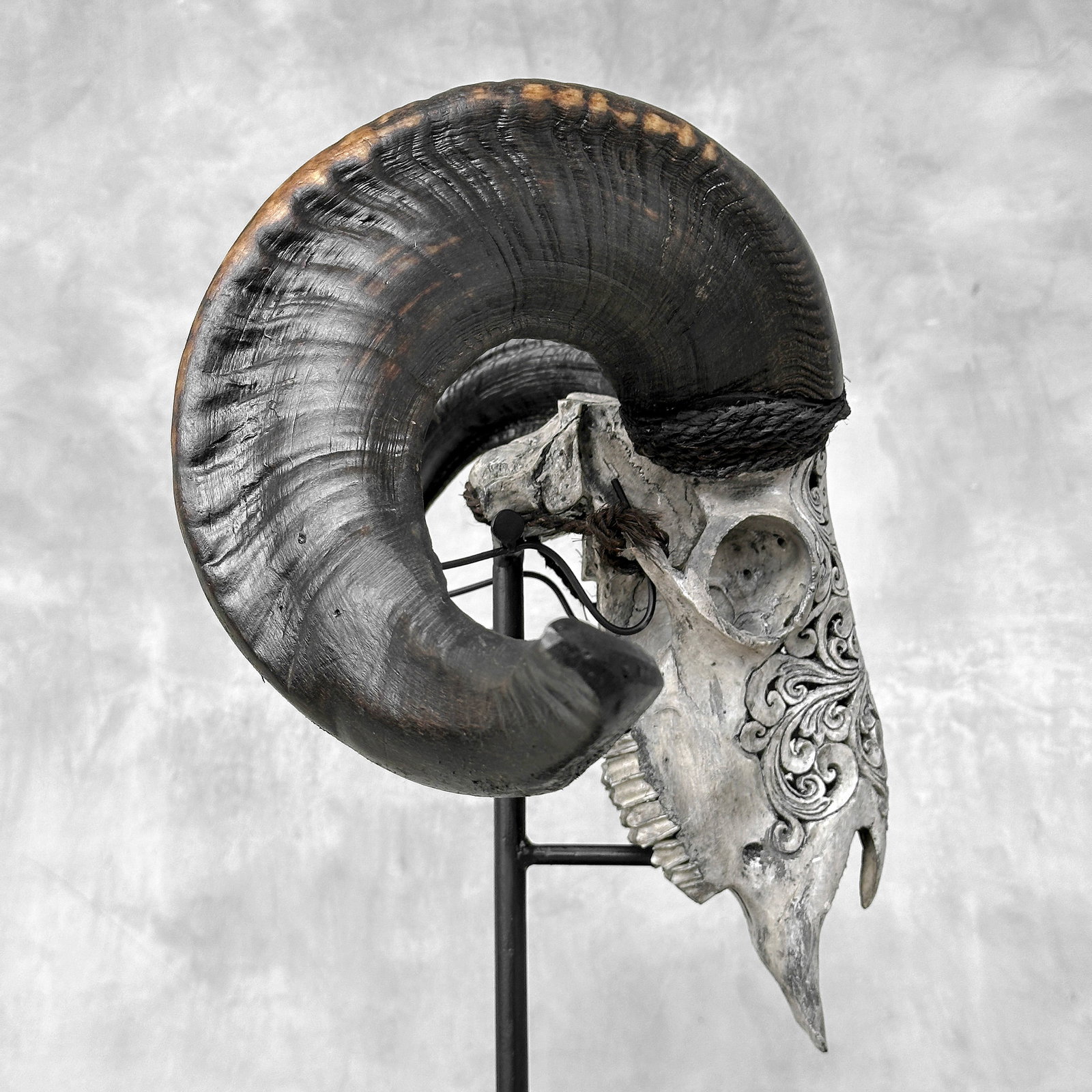 Carved grey ram skull - Traditional Balinese motif - 8