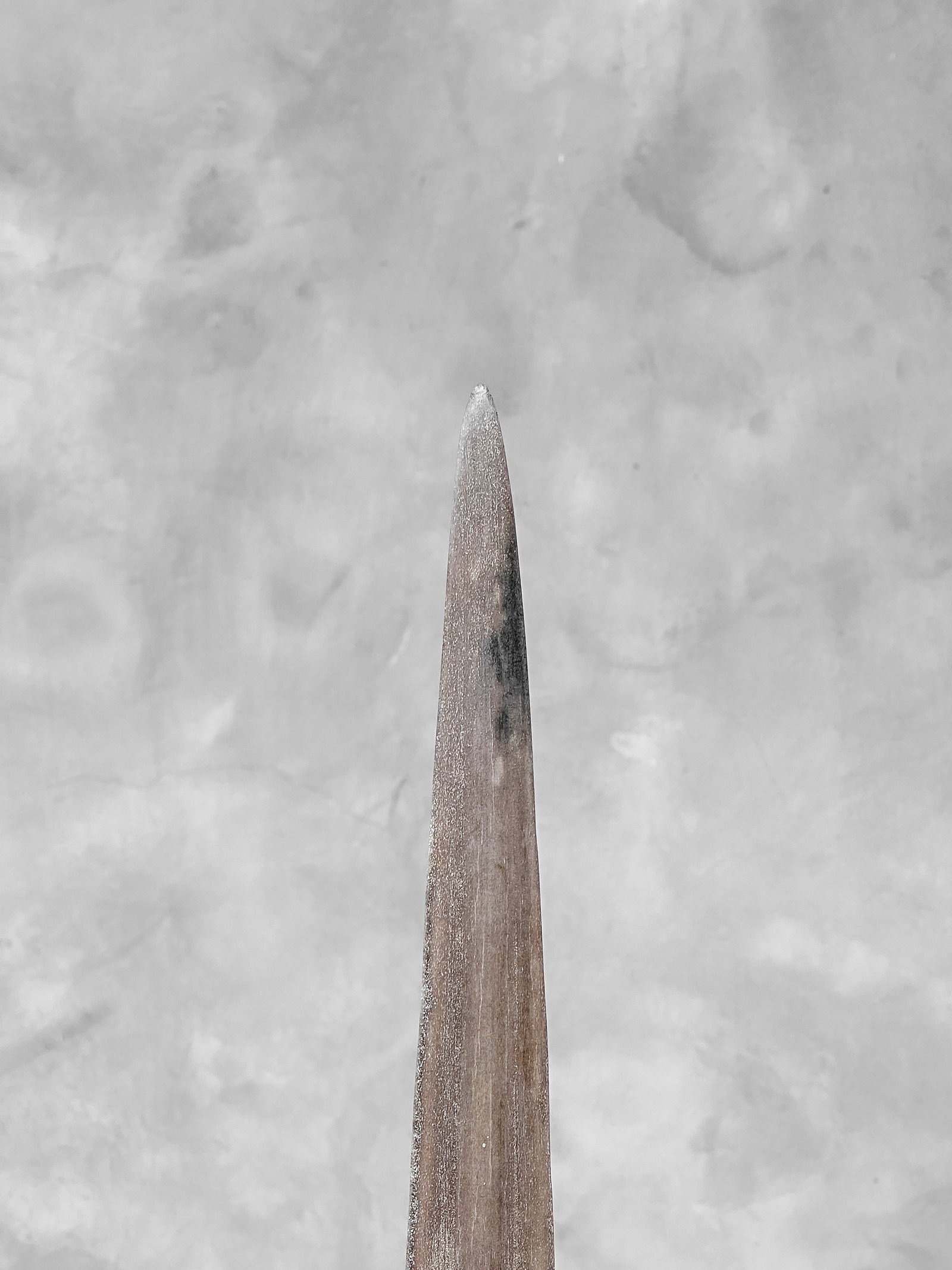 Swordfish tusk with stand - 10
