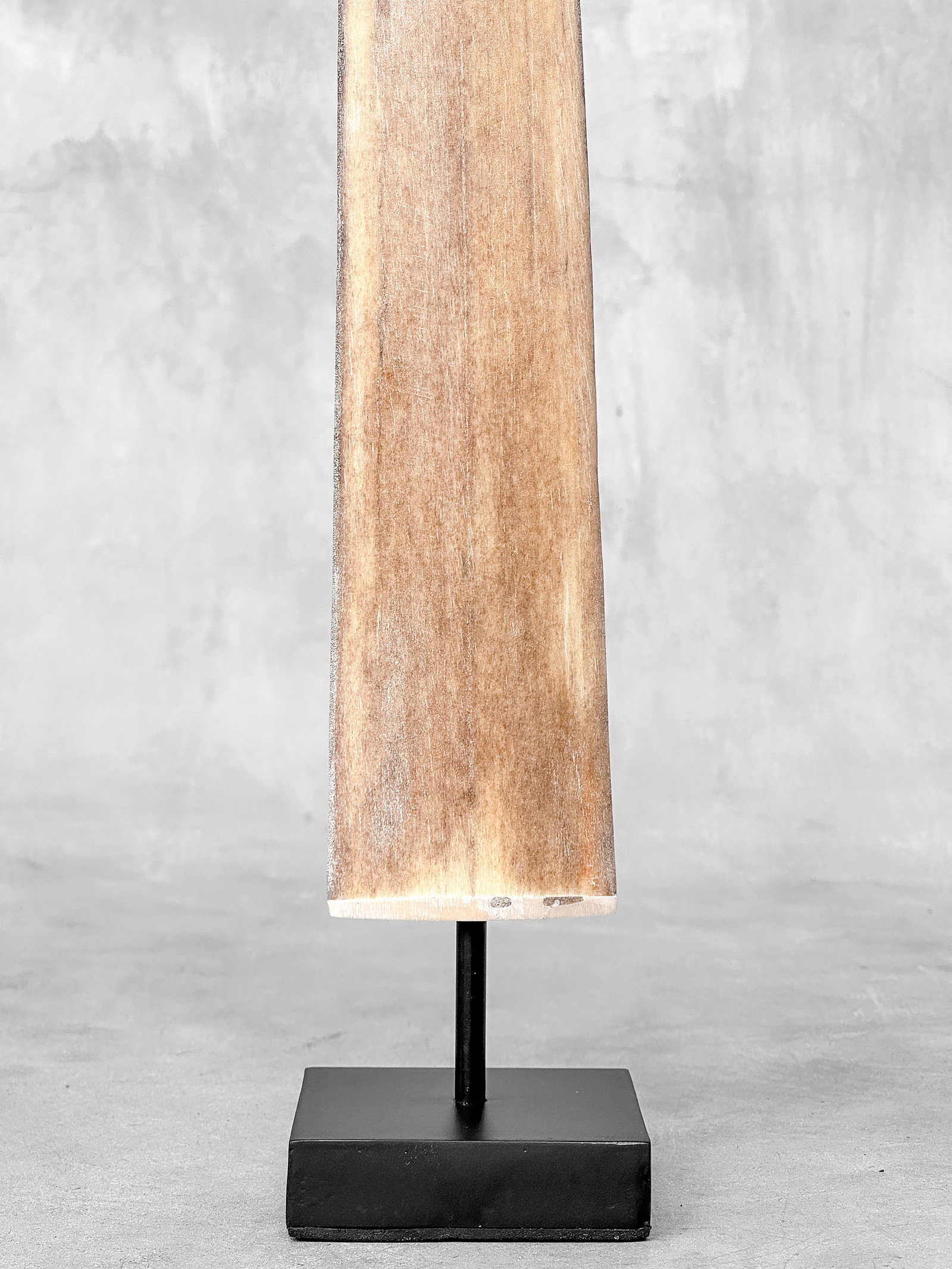 Swordfish tusk with stand - 4