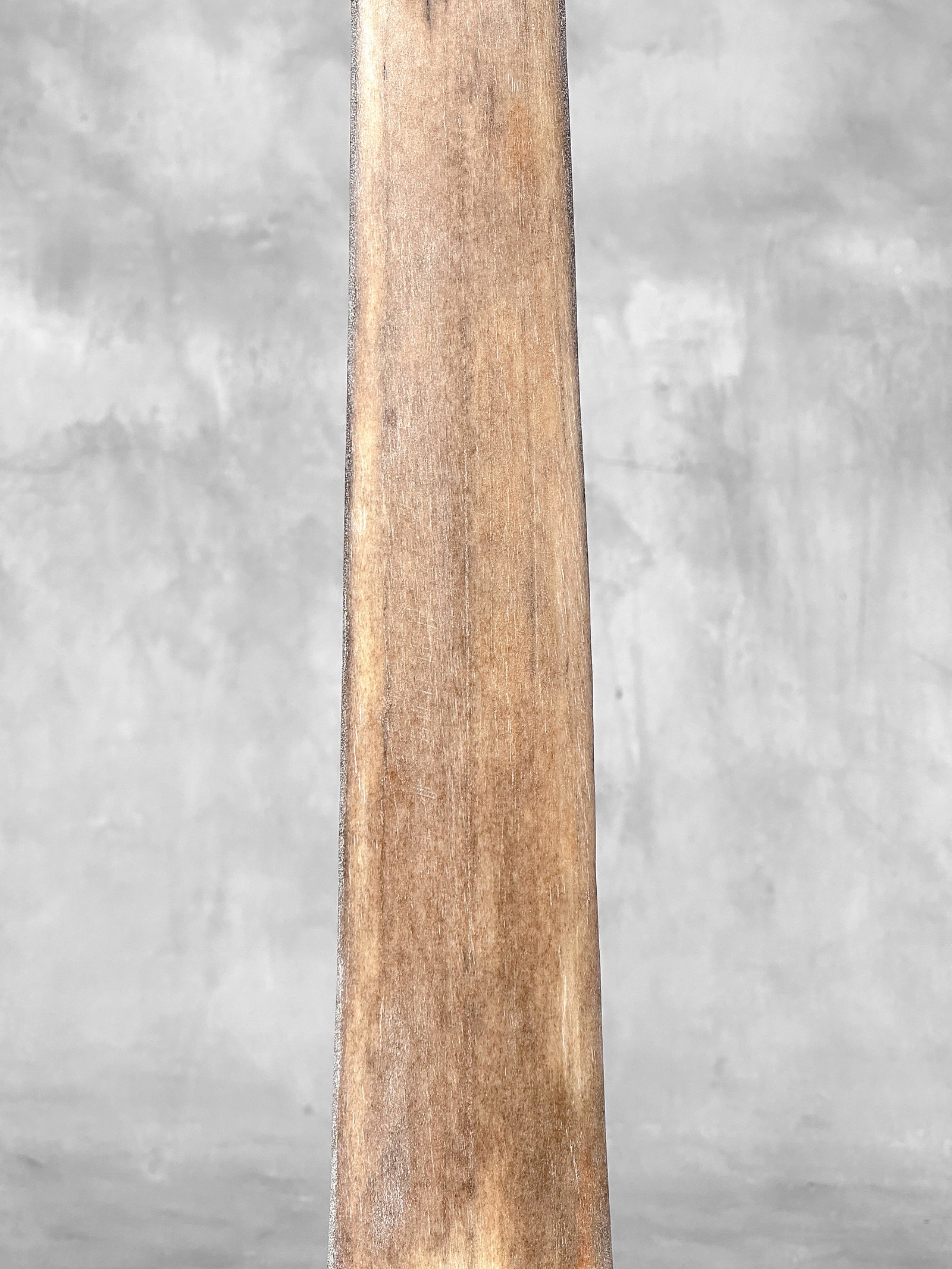 Swordfish tusk with stand - 5