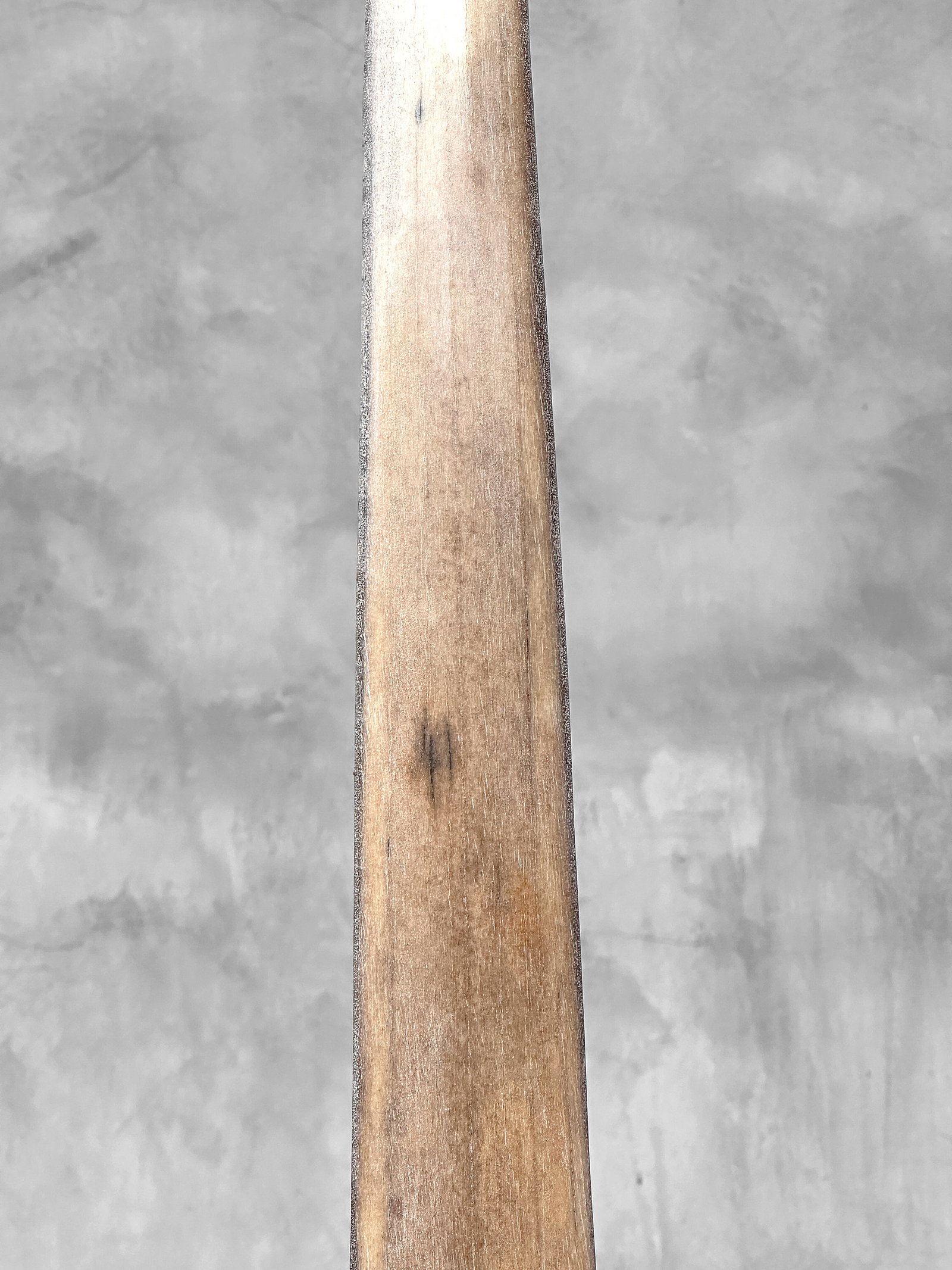 Swordfish tusk with stand - 6
