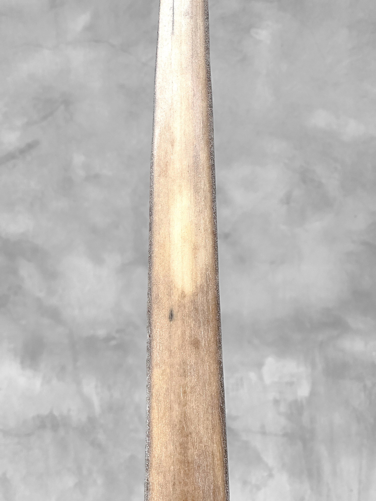 Swordfish tusk with stand - 7