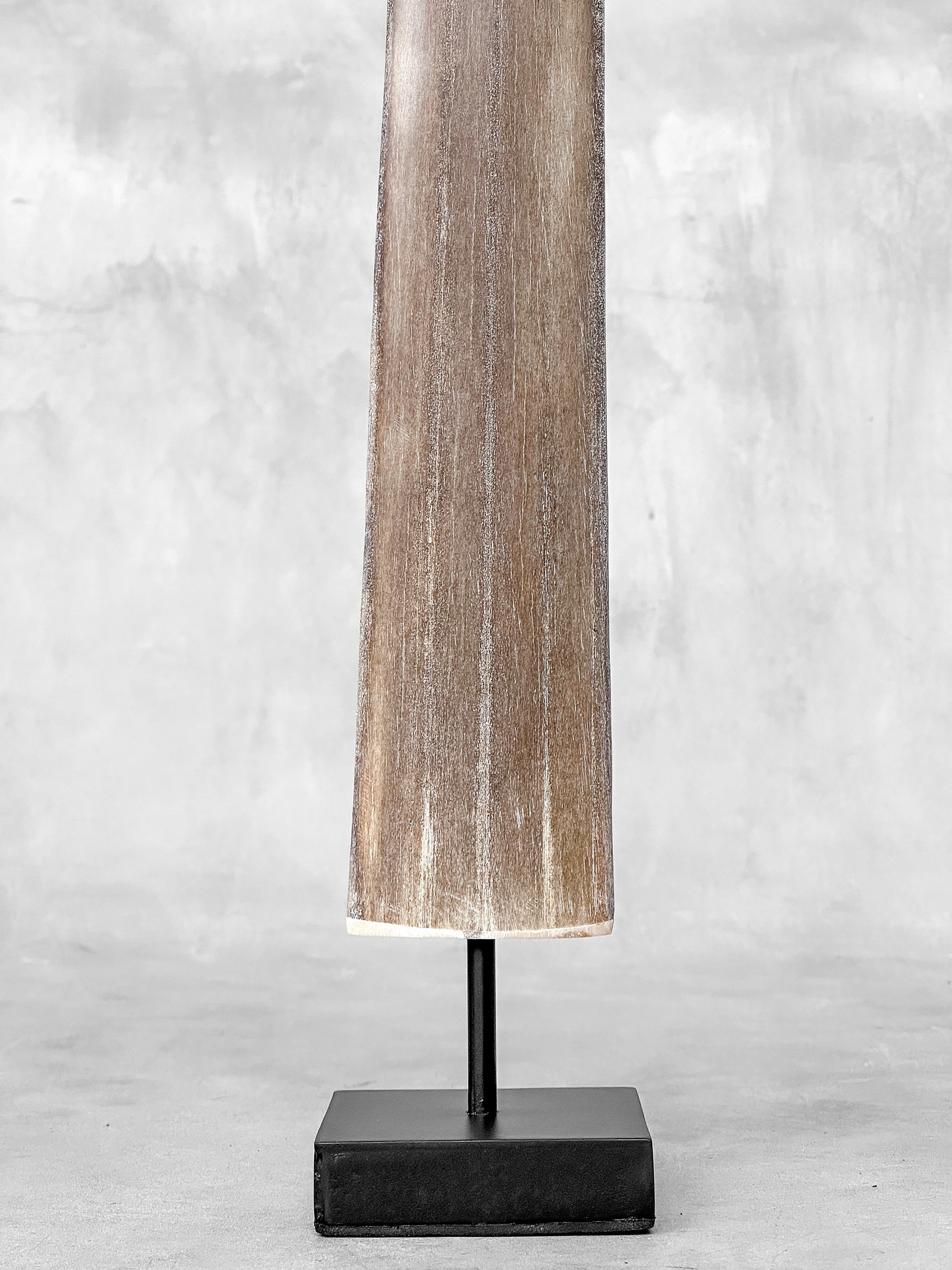 Swordfish tusk with stand - 9