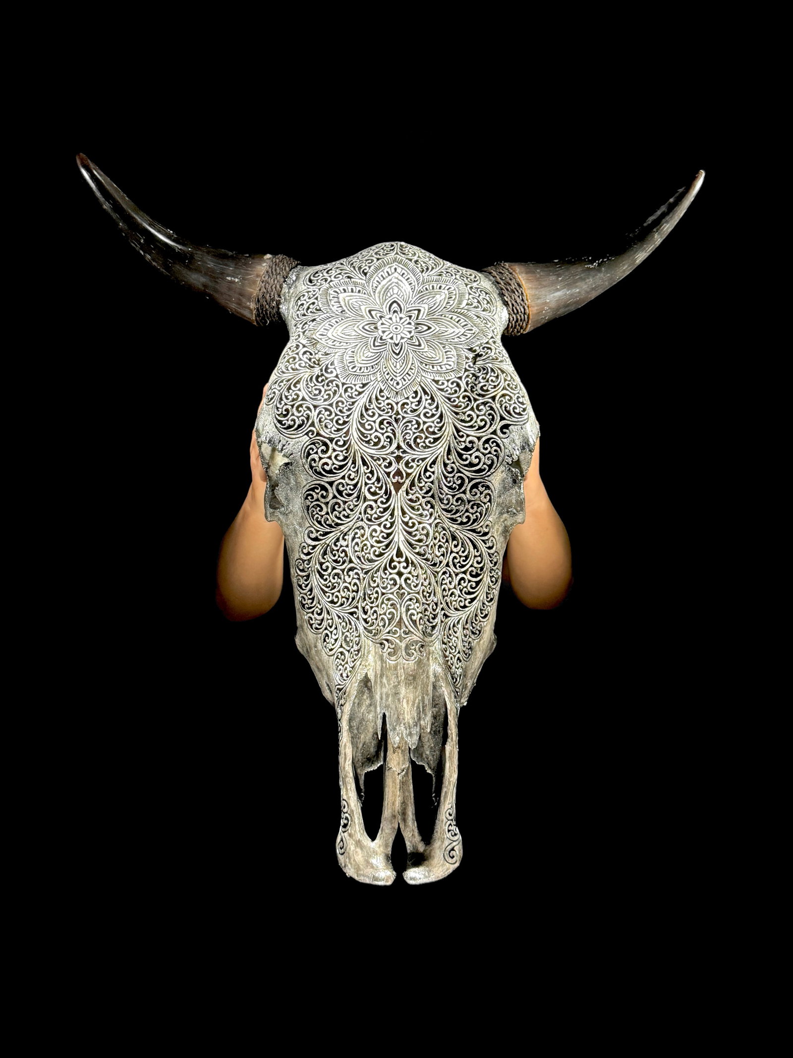 Grey bull's skull - Flower mandala motif: Title: Grey bull's skull - Flower mandala motif Maker:Unknown Origin: Indonesia Date/Period:2026 Materials:Bos Taurus, bone, horn Dimensions:Height: 61 cm / 24 inches. Length: 55 cm / 21.6 inches Desc