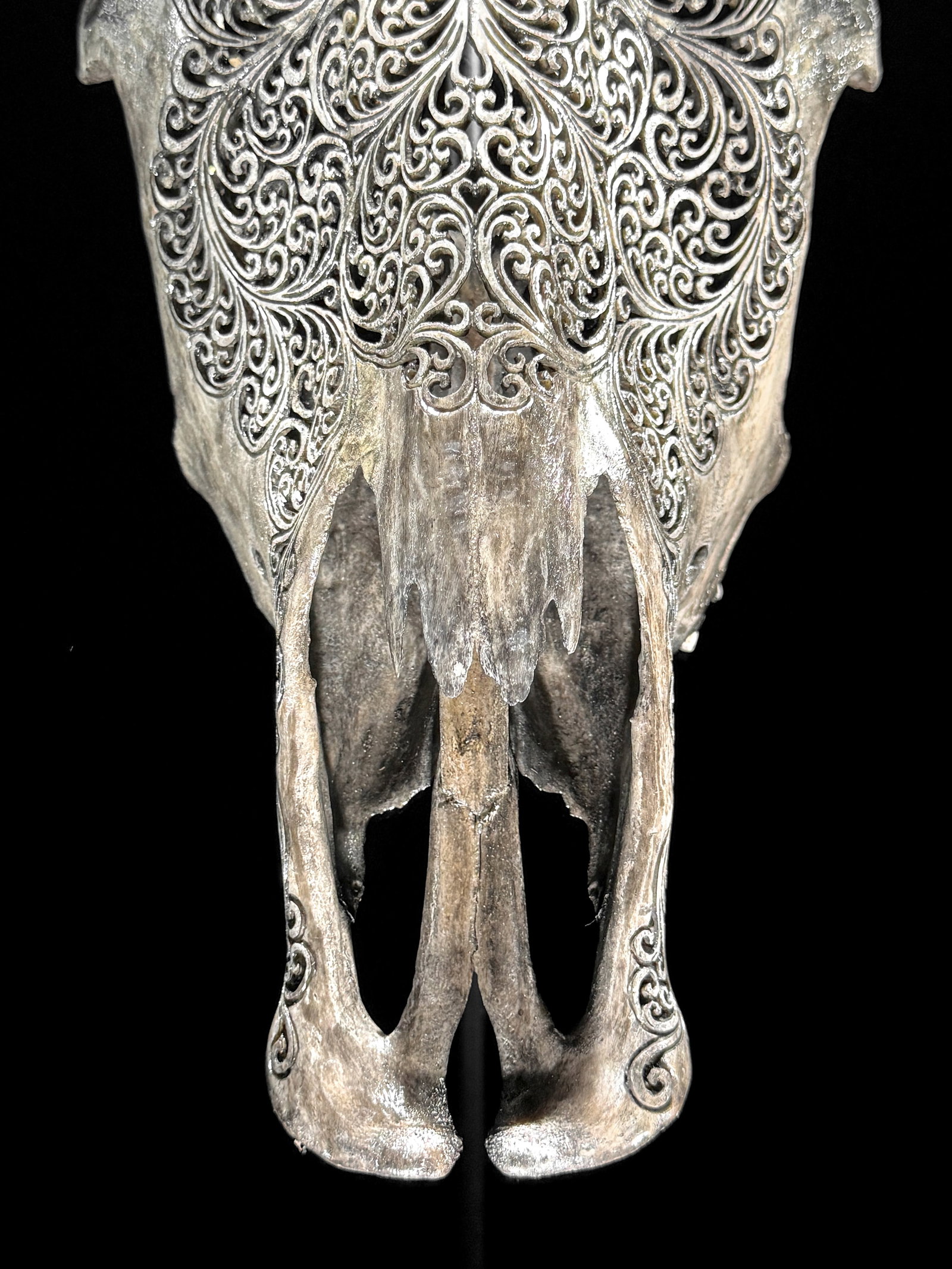 Grey bull's skull - Flower mandala motif - 3