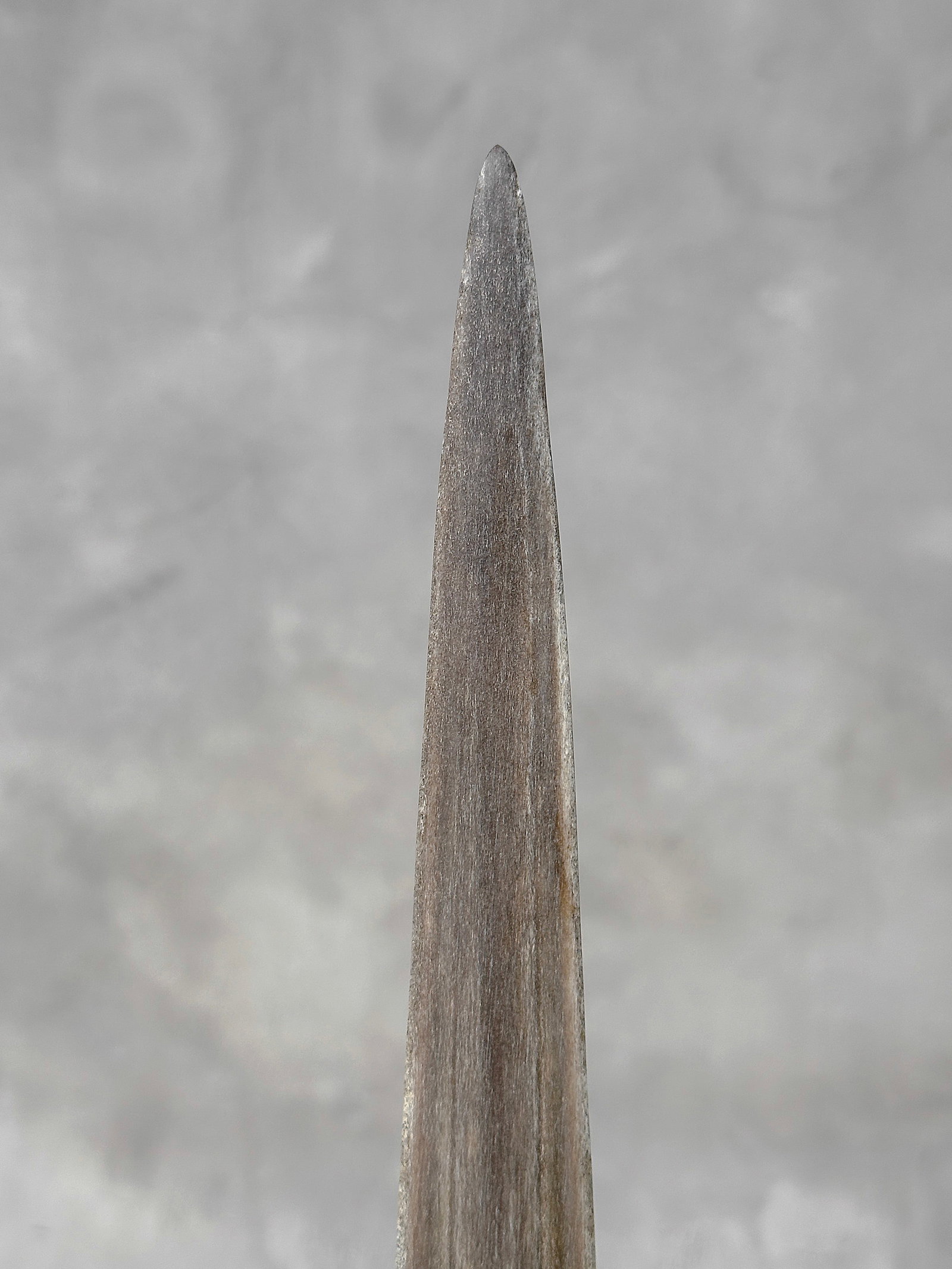 Swordfish tusk with stand - 10