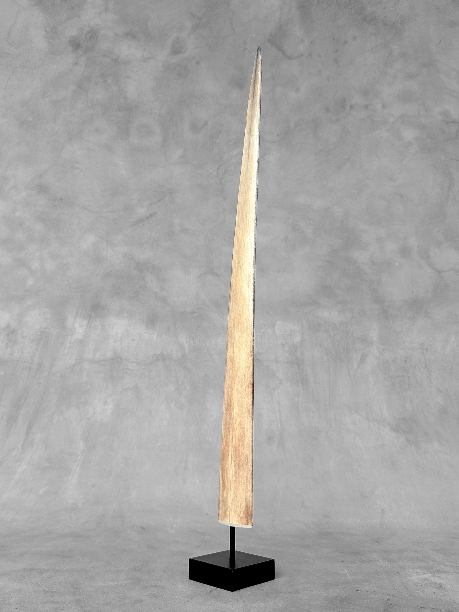 Swordfish tusk with stand (1 of 10)