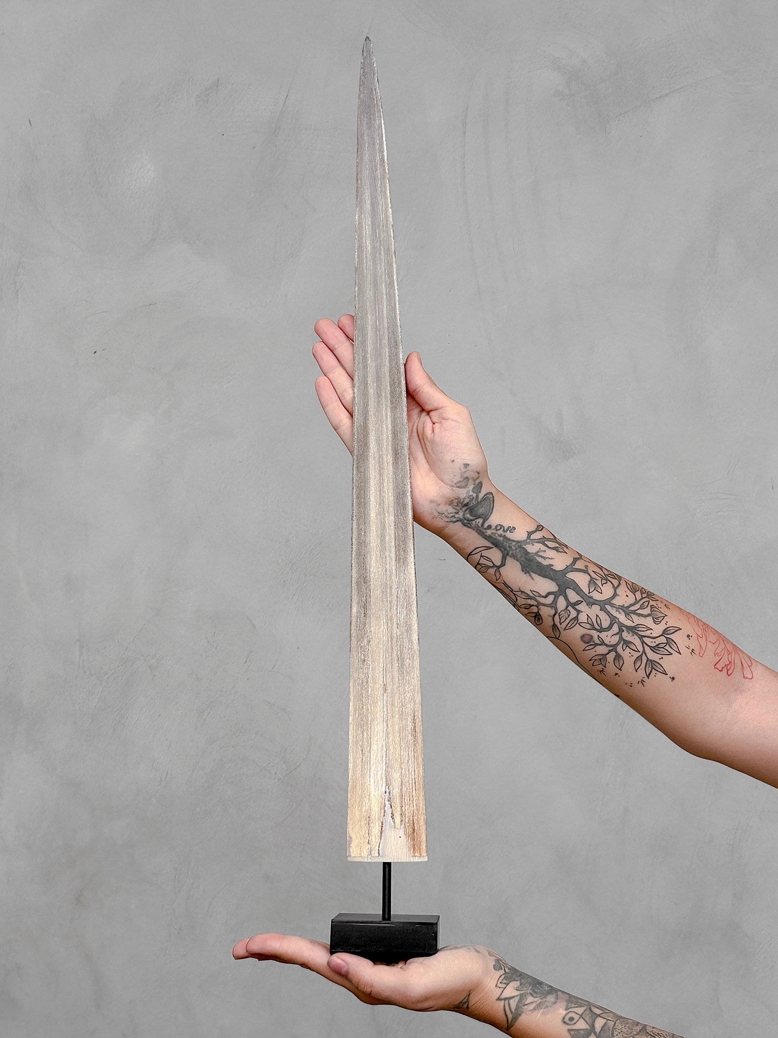 Swordfish tusk with stand - 3