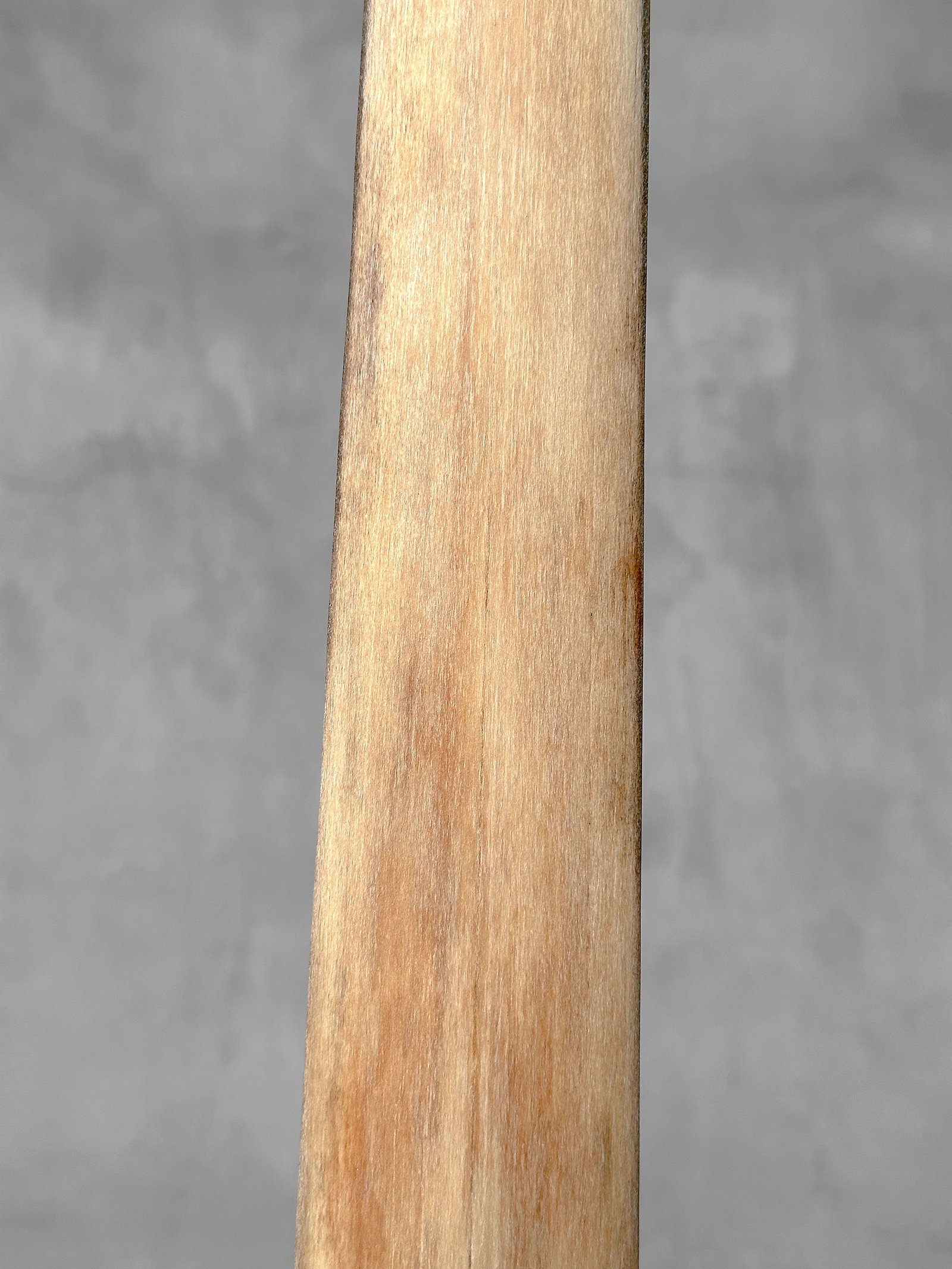 Swordfish tusk with stand - 5