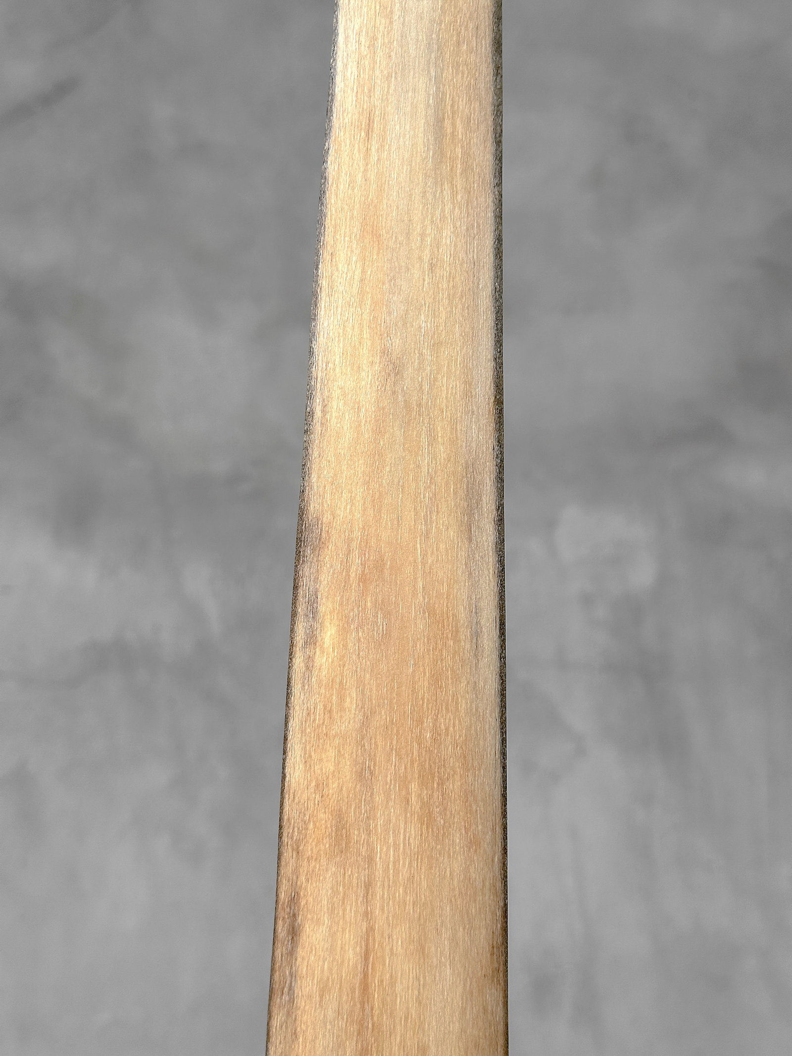 Swordfish tusk with stand - 6