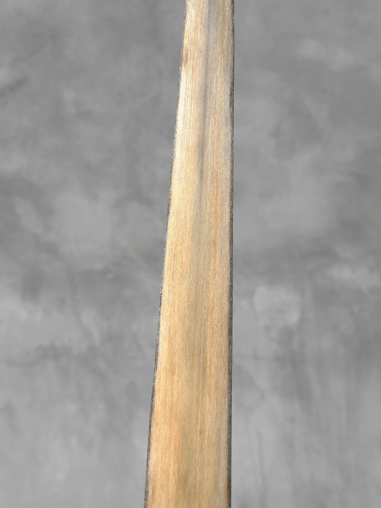 Swordfish tusk with stand - 7