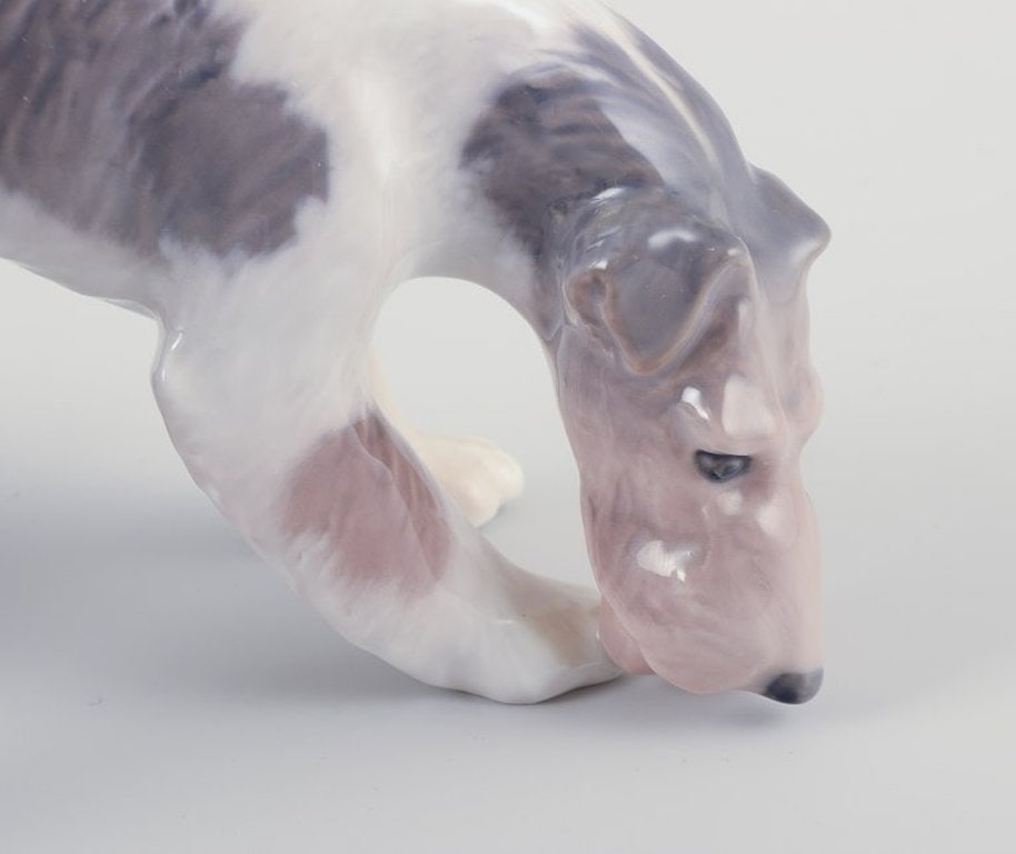 Royal Copenhagen. Porcelain figurine of a Wire Fox Terrier. Approx. 1930s. - 3